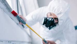 Best Real Estate Pest Inspections  in Garnett, KS